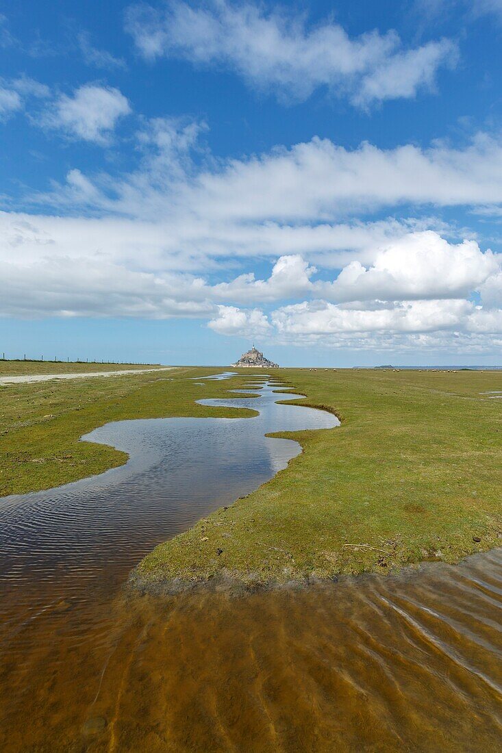 France,Manche,Mont Saint Michel bay,listed as World Heritage by UNESCO,the bay and Mont Saint Michel during fall high tides from the salted fields