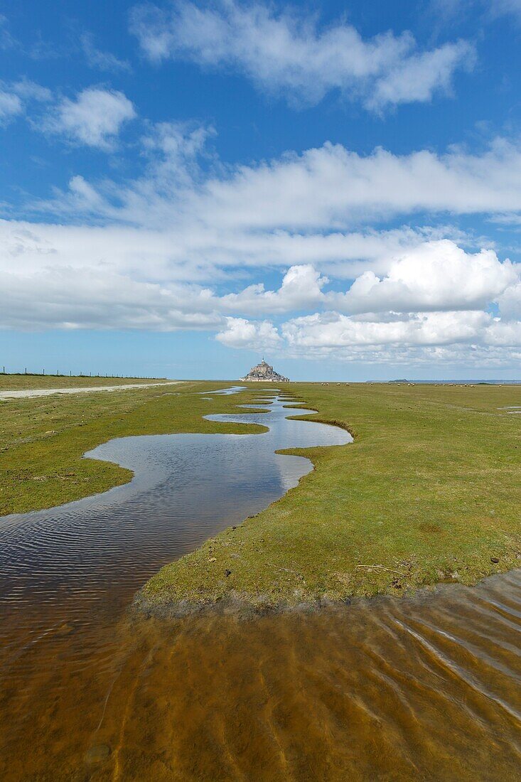 Frankreich,Manche,Bucht von Mont Saint Michel,von der UNESCO zum Weltkulturerbe erklärt,die Bucht und der Mont Saint Michel während der Herbstflut von den Salzfeldern