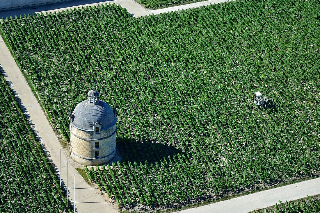France,Gironde,Pauillac,Chateau Latour vineyard where a wine premier cru is produced,aerial (view)