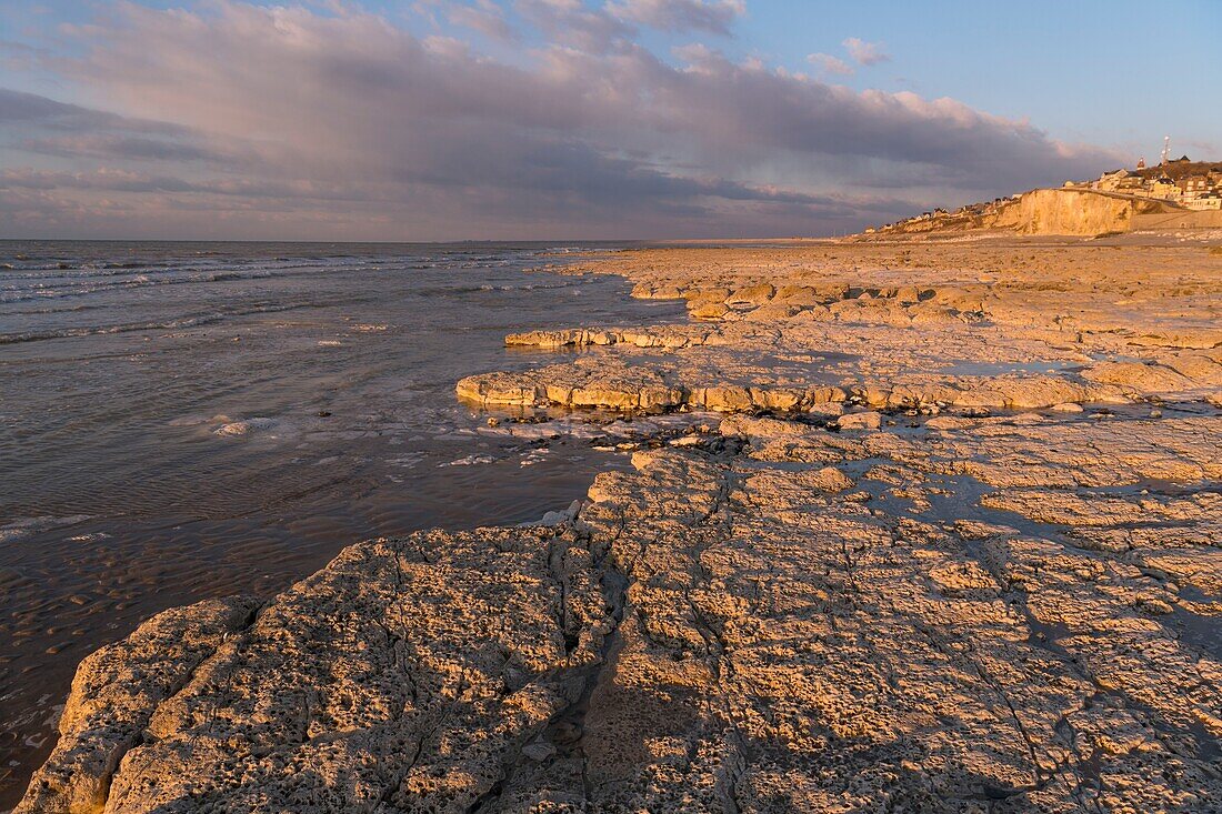 France,Somme,Ault,the village on its cliff in the light of the sunset,the low tide discovers the chalky plateau eaten by the sea and the flints that are flush