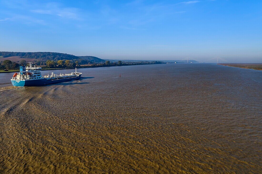 France,Seine Maritime,Natural Reserve of the Seine estuary,cargo ship going down the Seine from Rouen,the Normandie bridge in the background (aerial view)