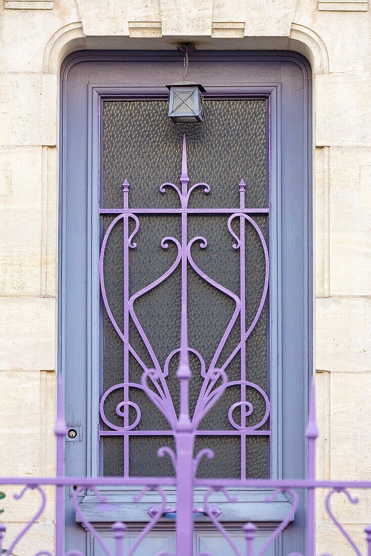 France,Meurthe et Moselle,Nancy,door of a house in Art Nouveau style