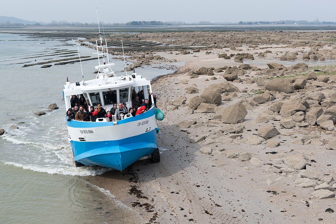 France,Manche,Cotentin,Tatihou Island,Amphibious vehicle to transport people to and from Tatihou Island