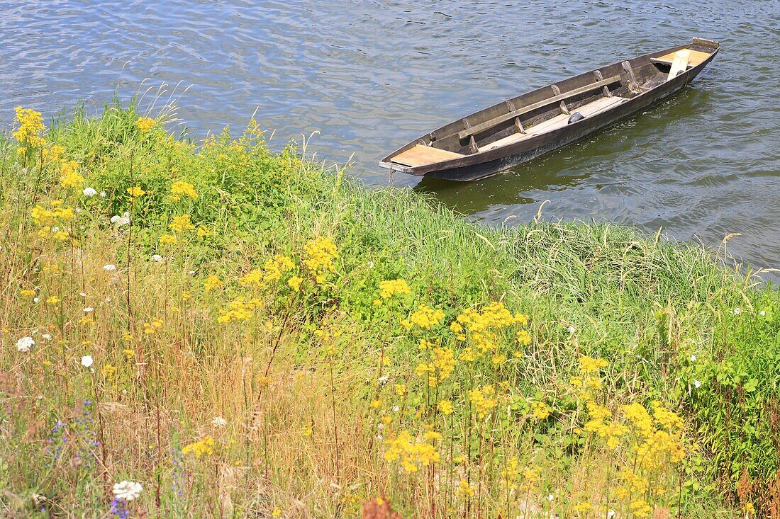 Frankreich,Indre et Loire,Loire-Tal, von der UNESCO zum Weltkulturerbe erklärt,Brehemont,Boot auf der Loire
