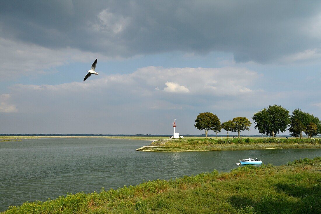 France,Somme,Baie de Somme,Saint Valery sur Somme,mouth of the Somme Bay