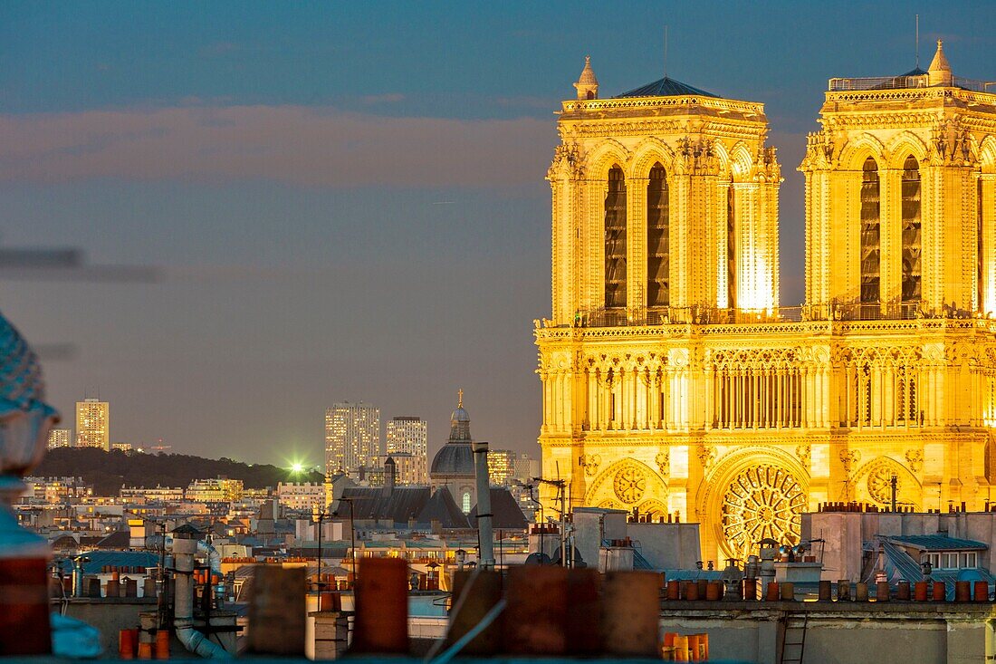 Frankreich,Paris,Weltkulturerbe der UNESCO,Kathedrale Notre Dame