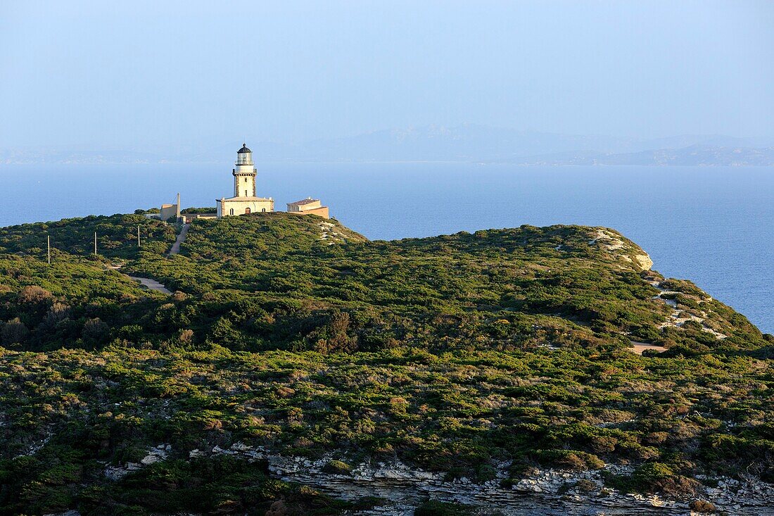 Frankreich,Corse du Sud,Freto,Bonifacio,Leuchtturm und Cap de Pertusato