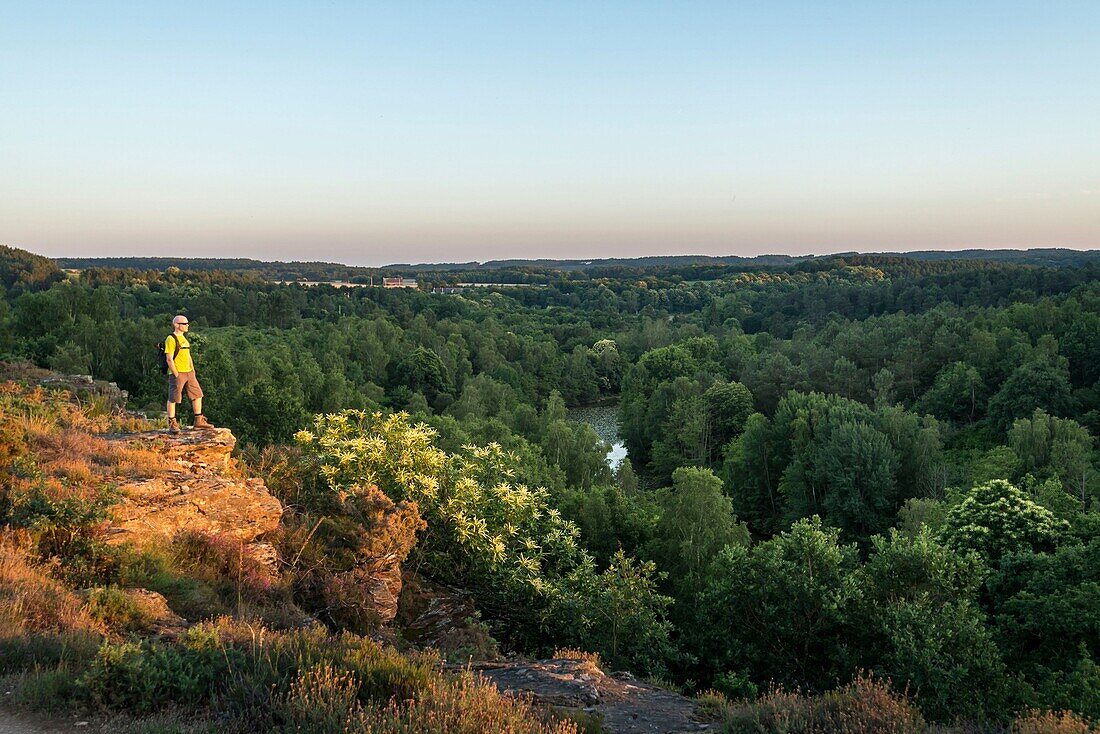 Frankreich,Ille et Vilaine,Saint-Just,geschütztes Naturgebiet die Moore von Cojoux