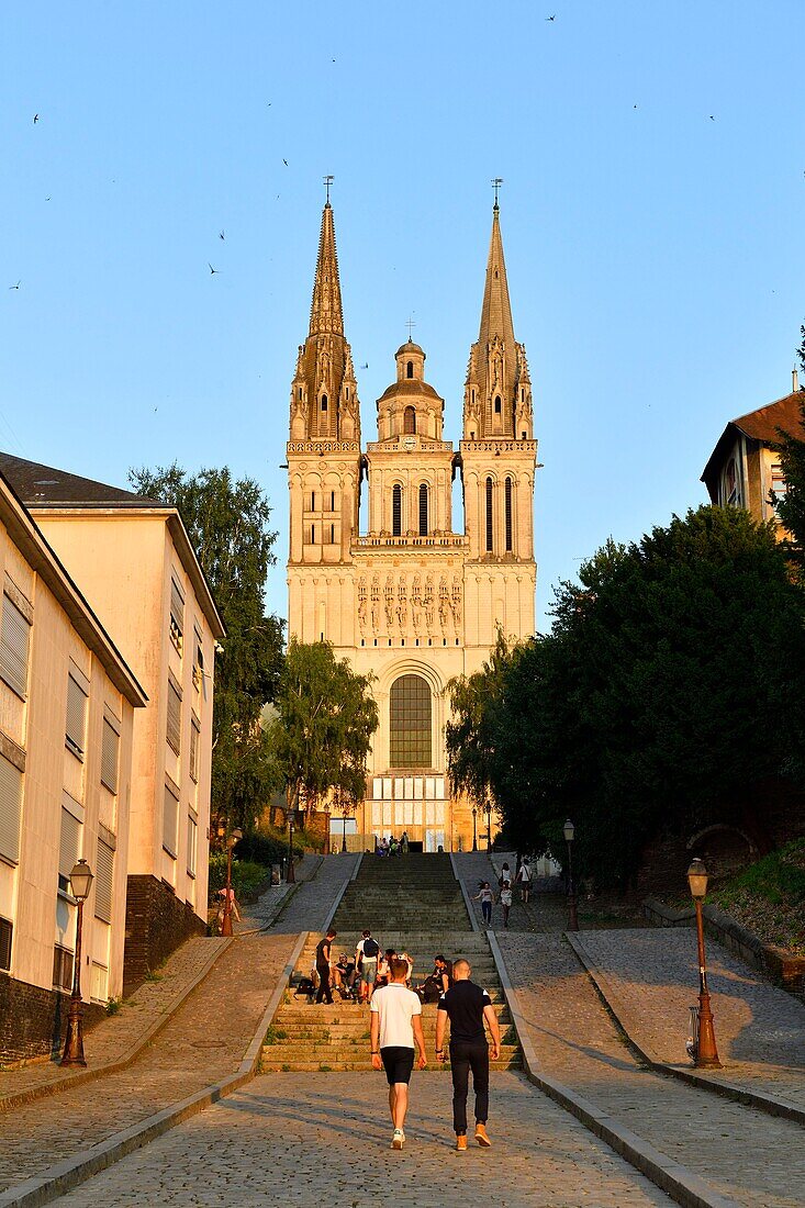 France,Maine et Loire,Angers,Saint Maurice cathedral