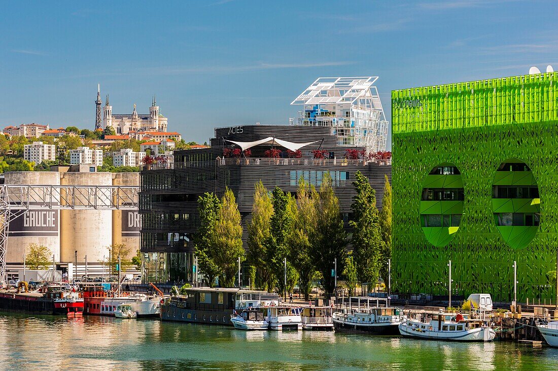 France,Rhone,Lyon,La Confluence district south of the Presqu'ile,close to the confluence of the Rhone and the Saone rivers,quai Rambaud along the former docks,the Cube Vert and the roof of the Ycone tower by Jean Nouvel,view of the basilica of Notre Dame de Fourviere