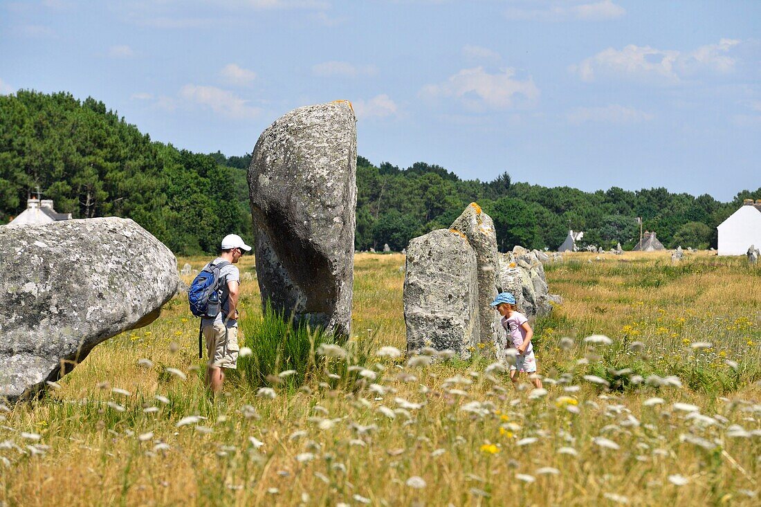 France,Morbihan,Carnac,megalithic site of Menec