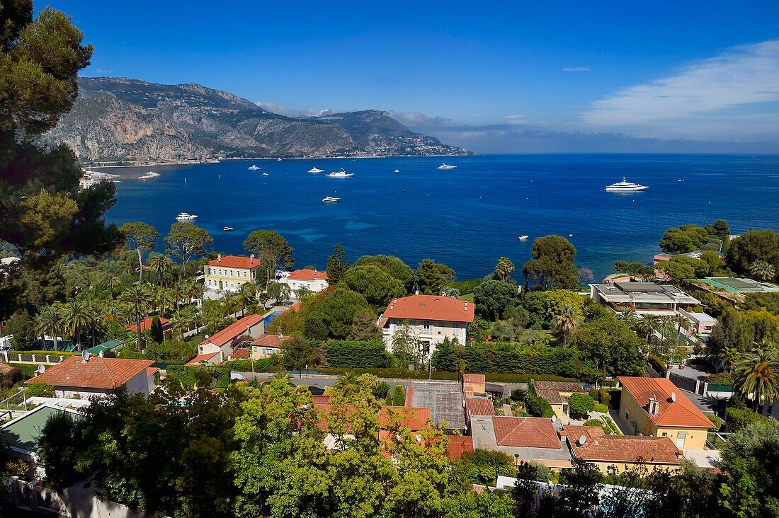 France,Alpes Maritimes,Saint Jean Cap Ferrat nice villas