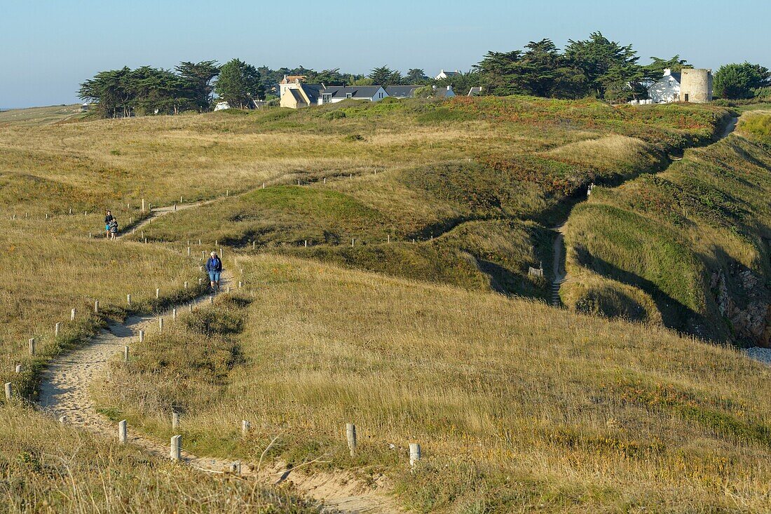 France,Morbihan,Houat,the north coast,trail near the fountain of the beach