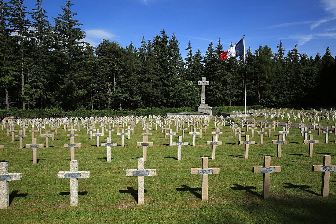 France,Haut Rhin,Vosges mountains,Wettstein pass above Orbey,Linge military cemetery,national necropolis,war 1914 1918