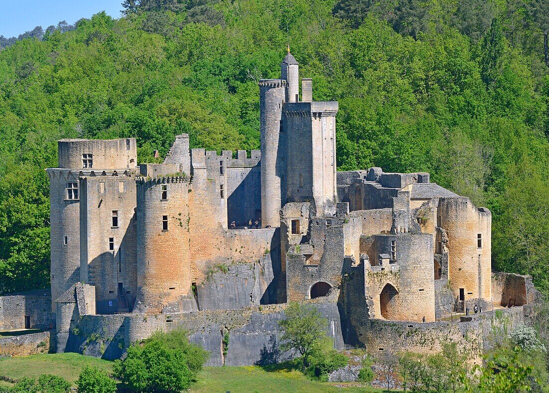 France,Lot et Garonne,Saint Front sur Lemance,Bonaguil Castle