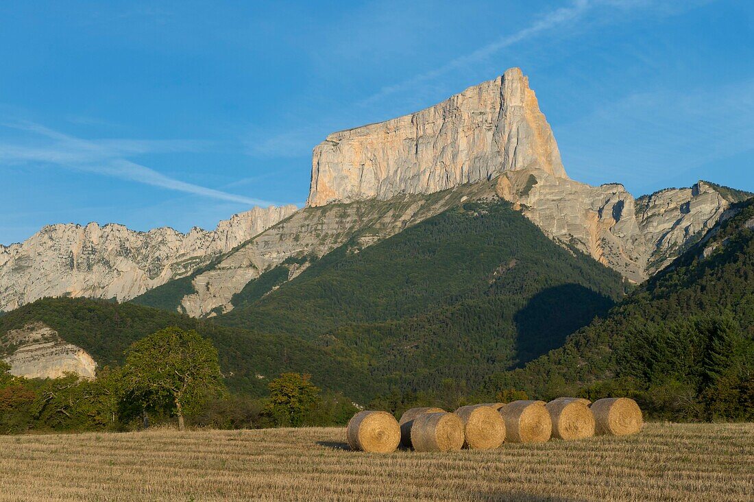 France,Isere,Massif du Vercors,Trieves,wheat straw bales to the village of Chichilianne and Mont Aiguille