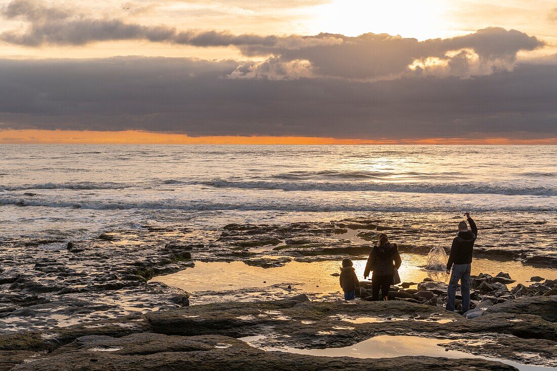 Frankreich,Pas de Calais,Opalküste,Ambleteuse,das Felsplateau bei Sonnenuntergang, während ein Vater zur Freude seines Kindes Kieselsteine ins Wasser wirft