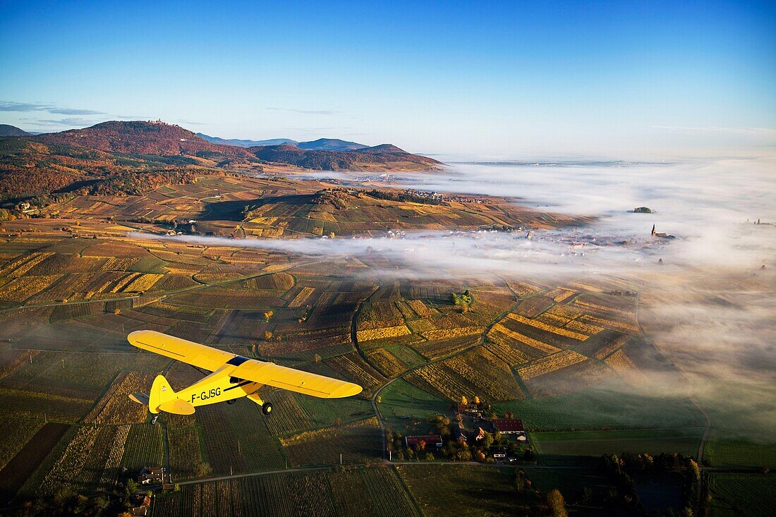 Frankreich,Haut Rhin,Elsässer Weinstraße,Piper über Bergheim und seinem Weinberg (Luftaufnahme)