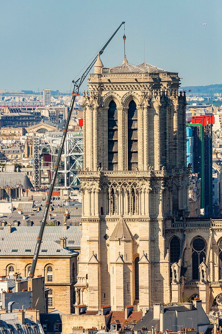 France,Paris,area listed as World heritage by UNESCO,Ile de la Cite,the towers of Notre Dame Cathedral