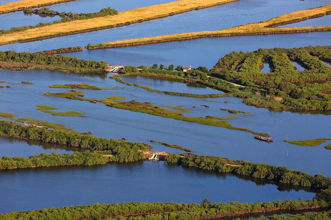 France,Gironde,Bassin d'Arcachon,Audenge,Domaine de Certes et Graveyron (aerial view)