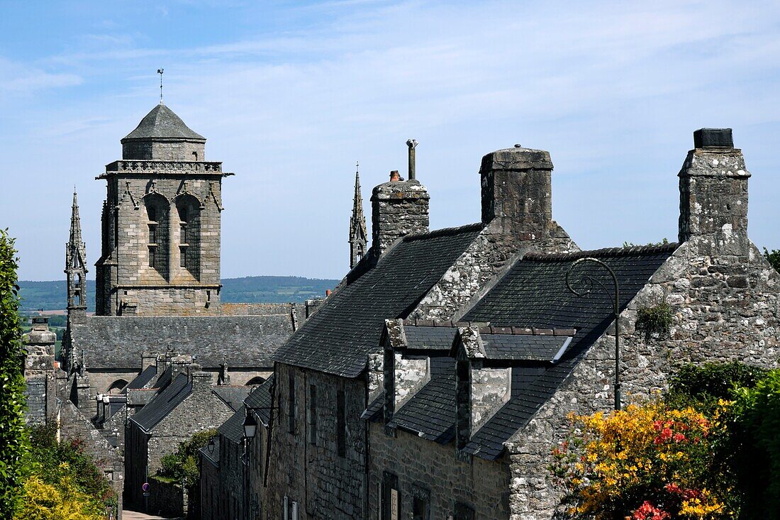 France,Finistere,Locronan,labelled Les Plus Beaux Villages de France (The Most beautiful Villages of France),village,Saint Ronan church dated 15th century,rhododendron in bloom