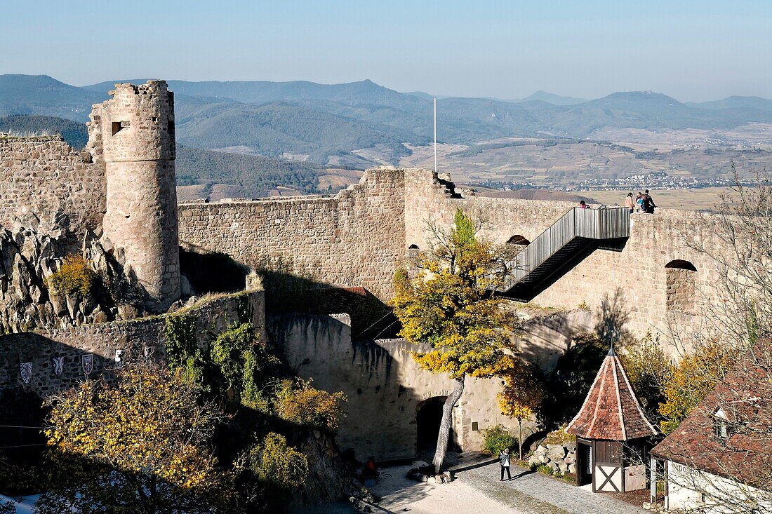 France,Haut Rhin,Wintzenheim,the Hohlandsbourg castle.