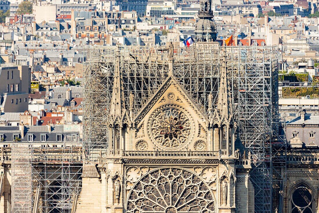 France,Paris,area listed as World heritage by UNESCO,Ile de la Cite,Notre Dame Cathedral South facade,rose window