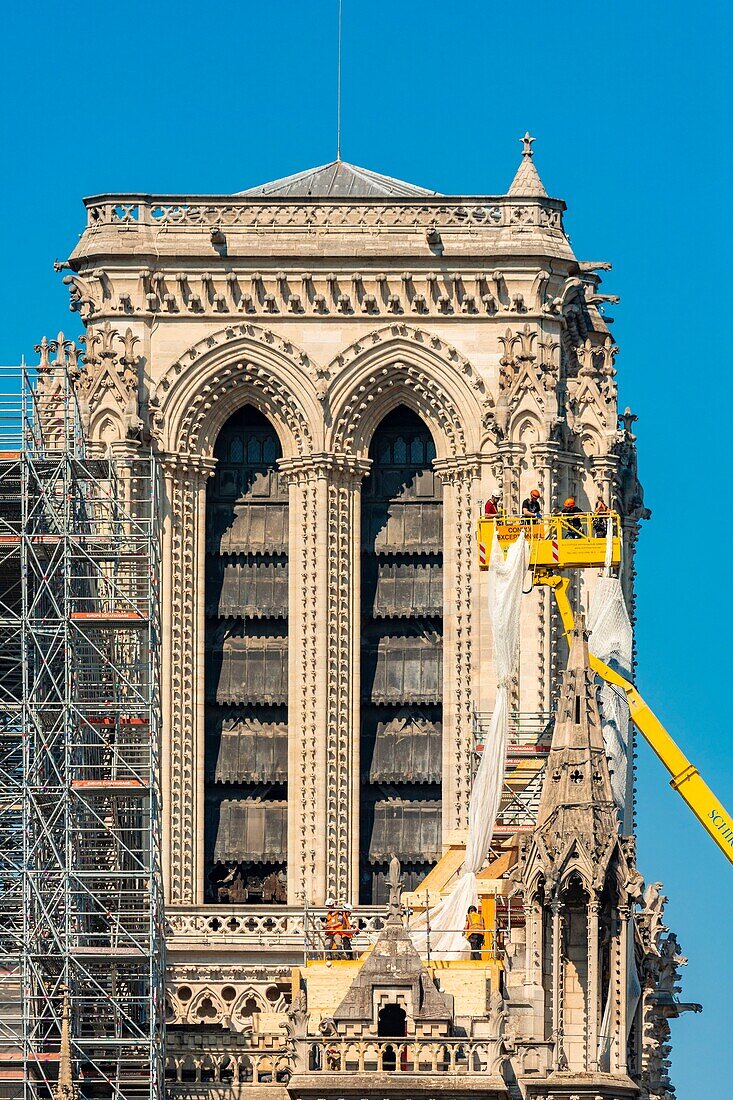 Frankreich,Paris,Weltkulturerbe der UNESCO,Ile de la Cite,Kathedrale Notre Dame,Baugerüst,Schutz nach Brand