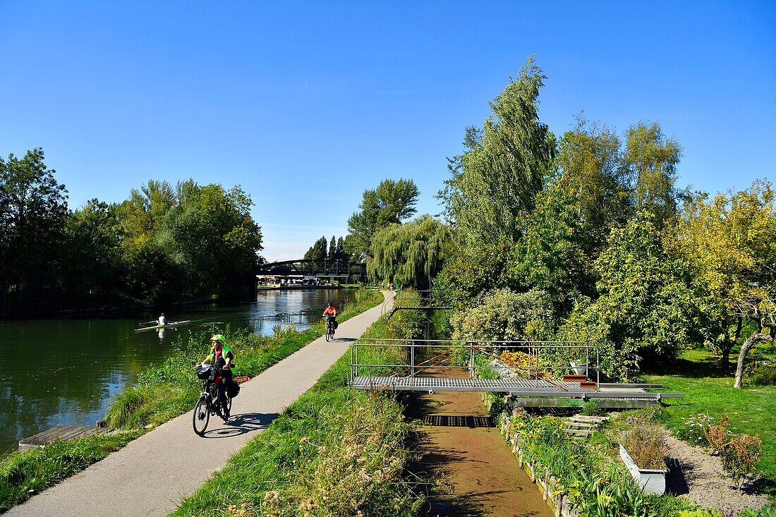 Frankreich,Somme,Amiens,die Hortillonnages sind alte Sümpfe, die aufgefüllt wurden, um ein Mosaik von schwimmenden Gärten zu schaffen, die von Kanälen umgeben sind