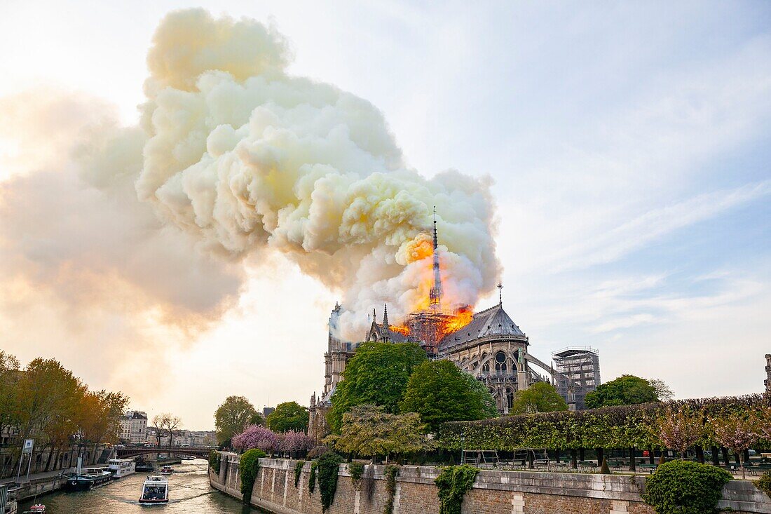 Frankreich,Paris,von der UNESCO zum Weltkulturerbe erklärtes Gebiet,Ile de la Cite,Kathedrale Notre Dame de Paris,Brand der Kathedrale am 15. April 2019