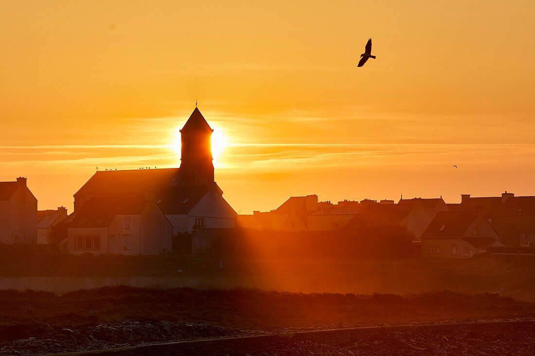 France,Finistere,Iroise Sea,Iles du Ponant,Parc Naturel Regional d'Armorique (Armorica Regional Natural Park),Ile de Sein,labelled Les Plus Beaux de France (The Most Beautiful Village of France),Saint Guenolé church at sunrise