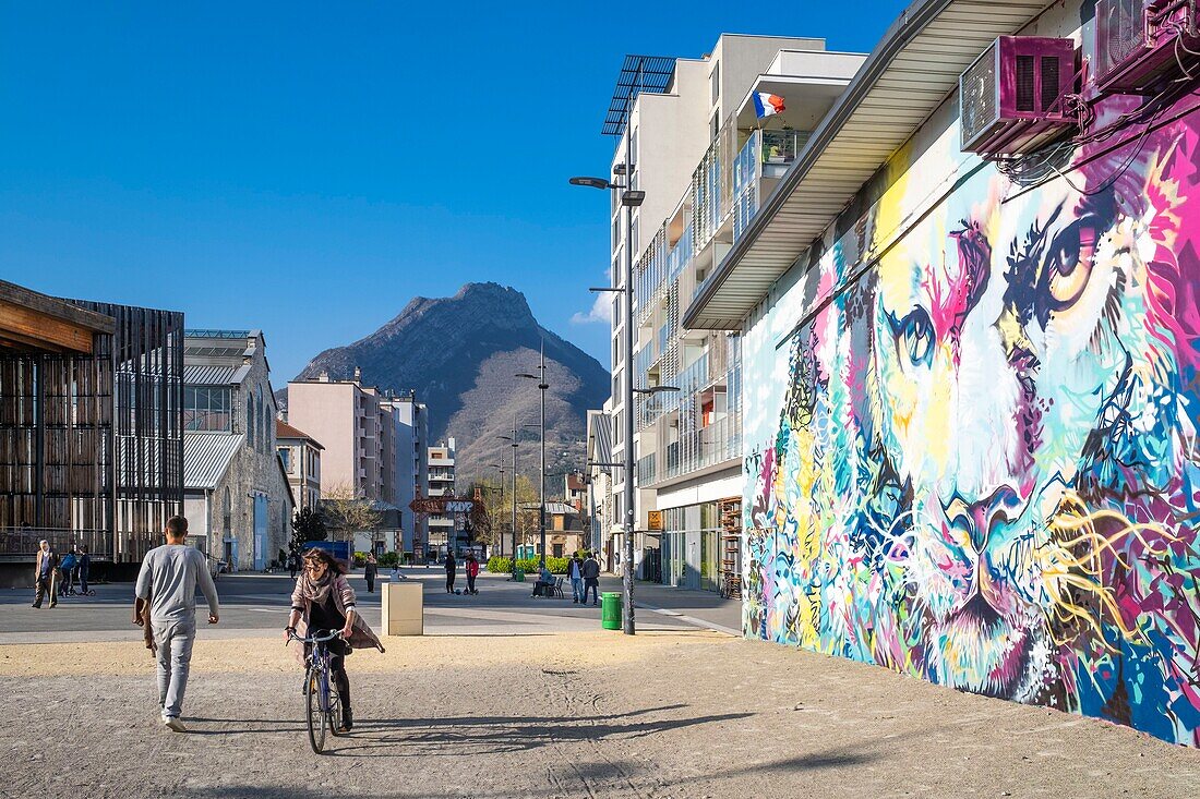 France,Isere,Grenoble,Bouchayer-Viallet district,Esplanade Andry Farcy,the Lion of the Grenoble artists,Srek,Greg and Will,fresco created during the Grenoble Street-Art Fest 2015