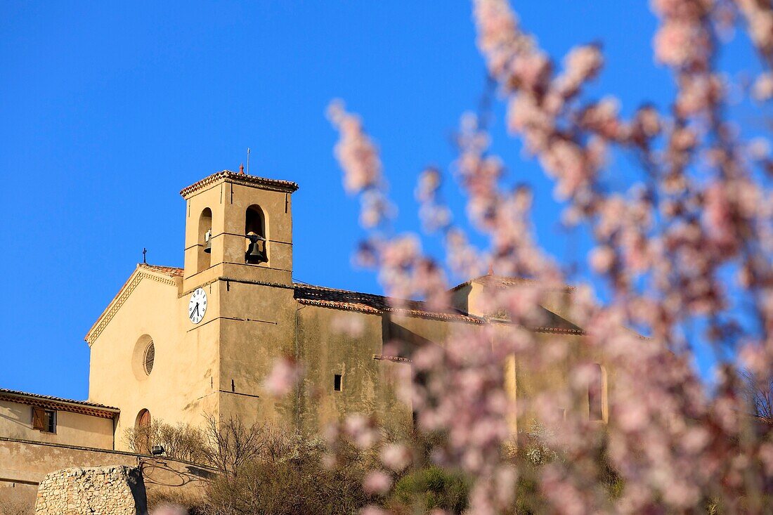 France,Alpes de Haute Provence,Verdon Regional Nature Park,Valensole plateau,Saint Jurs,church