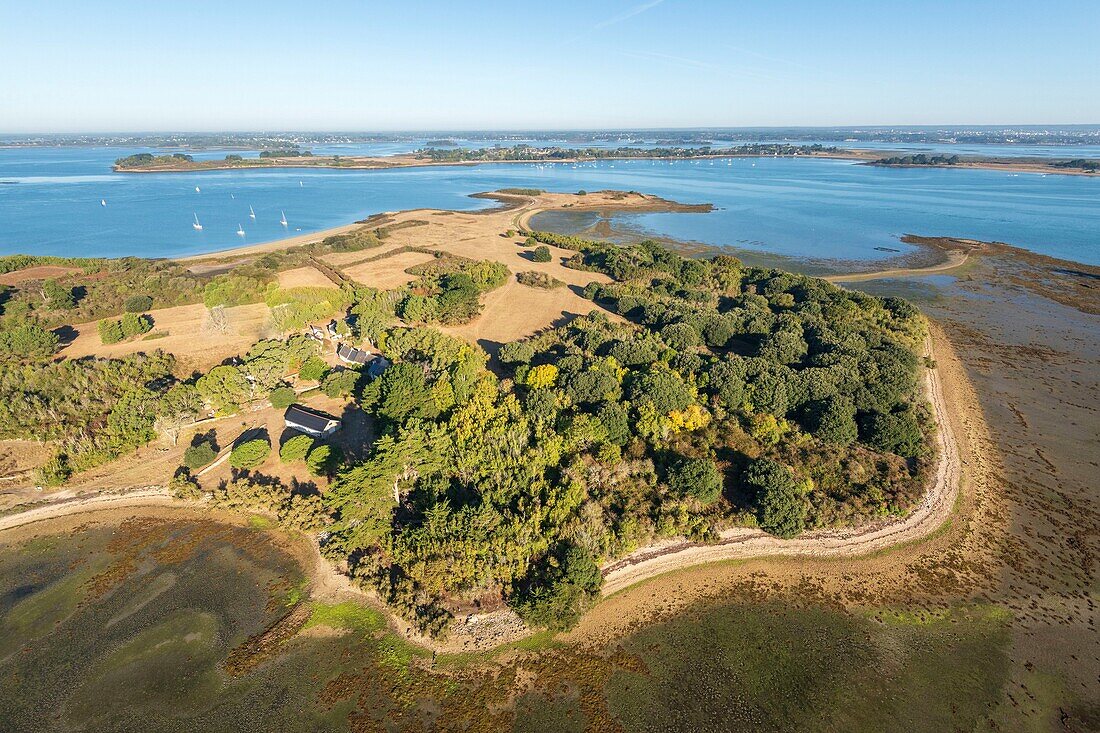 France,Morbihan,Ile-d'Arz,aerial view of the Gulf of Morbihan and the island of Ilur