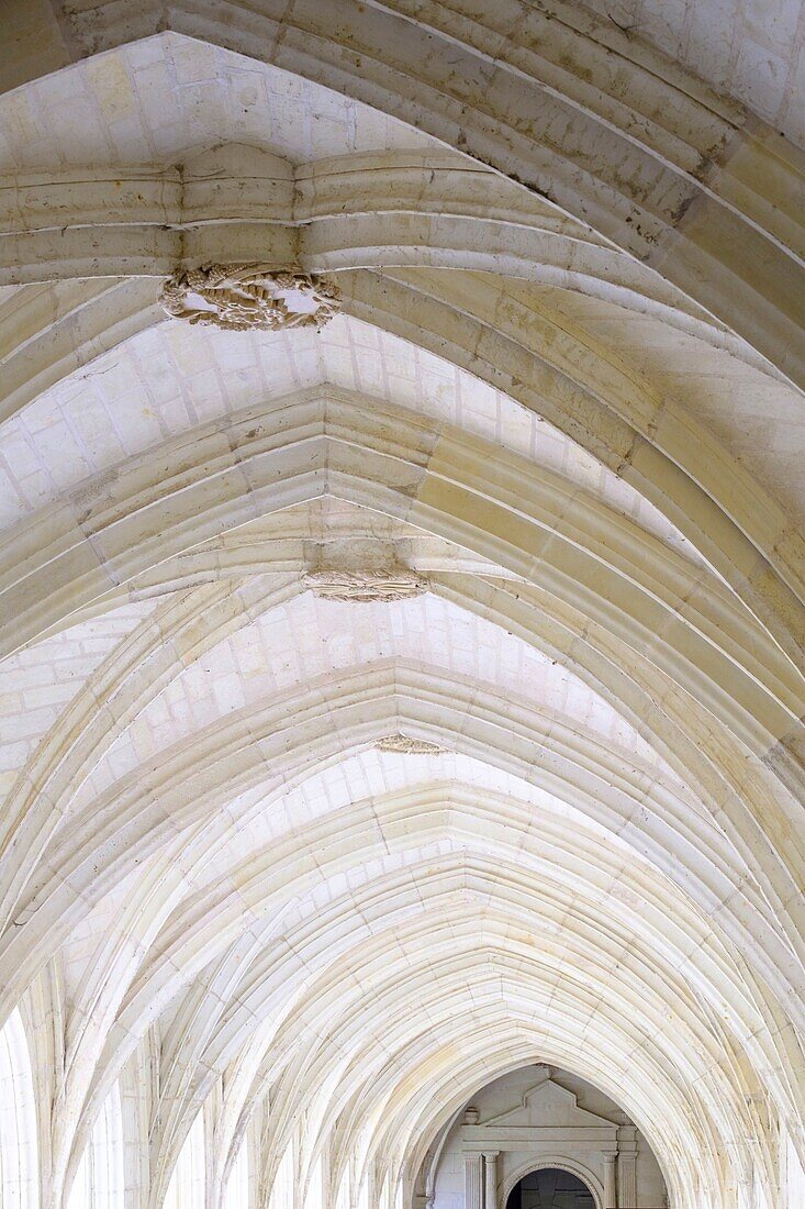 France,Maine et Loire,Fontevraud l'Abbaye,Loire Valley listed as World Heritage by UNESCO,Abbey of Fontevraud,dated 12-17 th century,Cloister Ste Mary or Great Cloister
