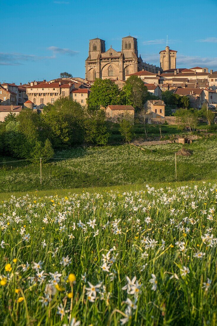 France,Haute Loire,La Chaise Dieu,Saint Robert abbey,Parc naturel régional Livradois-Forez,Livradois Forez Regional Natural Park