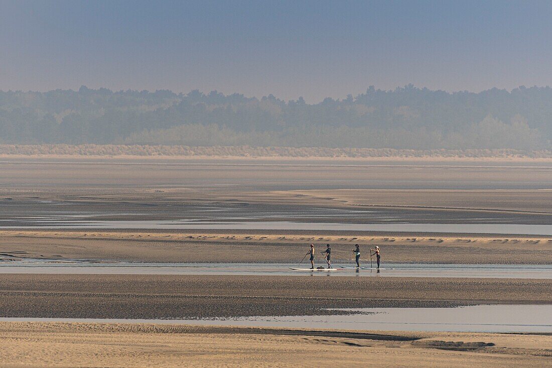 France,Somme,Baie de Somme,Le Hourdel,Indonesian canoes and canoe kayak during high tides,the boats come to wait for the flow and the tidal bore at the entrance of the bay and then go up helped by the strong current,sometimes accompanied by the seals,some fail their boat on the sandbanks to watch the birds dislodged by the tide