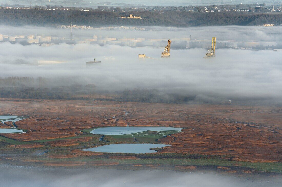Frankreich,Seine Maritime,Le Havre,der Hafen von Le Havre taucht aus einem Wolkenmeer hinter dem Naturschutzgebiet der Seine-Mündung auf