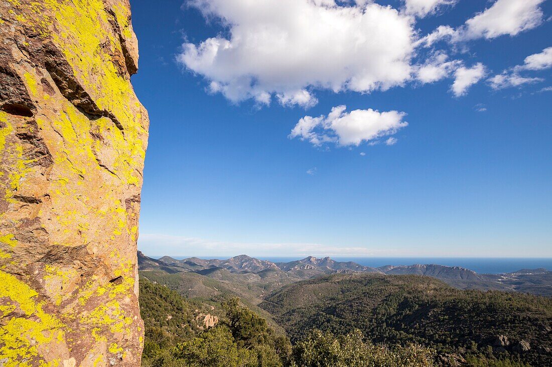 France,Var,Frejus,Esterel massif,red rhyolite rock of volcanic origin covered with yellow lichen,in the background the peaks of the Cape Roux Peak