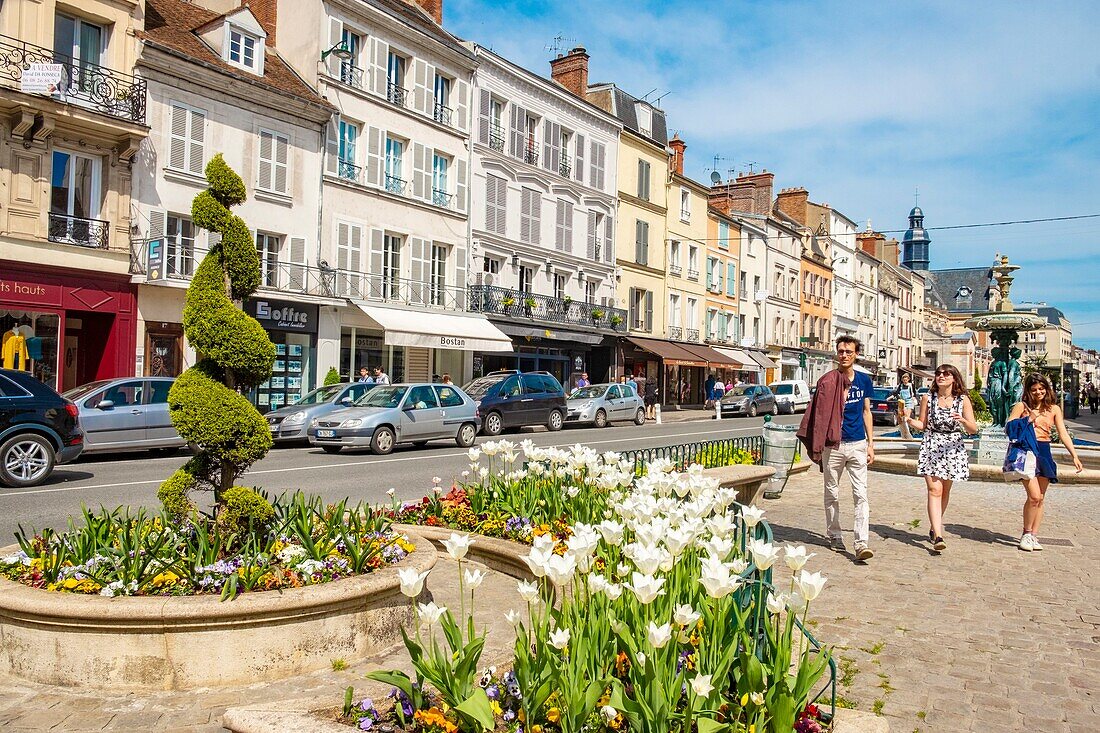 France,Seine et Marne,Fontainebleau,flea market in the city center