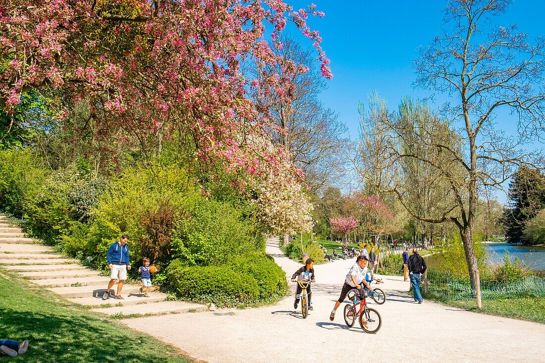 France,Paris,the Bois de Vincennes in front of Lake Saint Mande