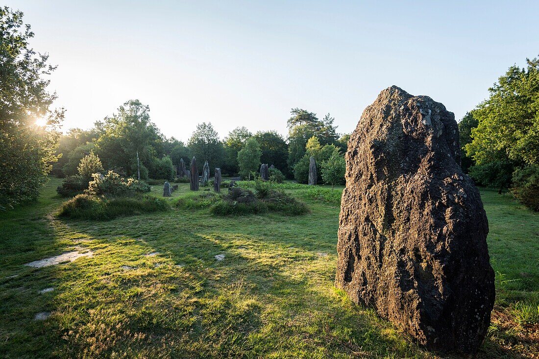 Frankreich,Morbihan,Monteneuf,die megalithische Domäne der Geraden Steine bei Sonnenaufgang