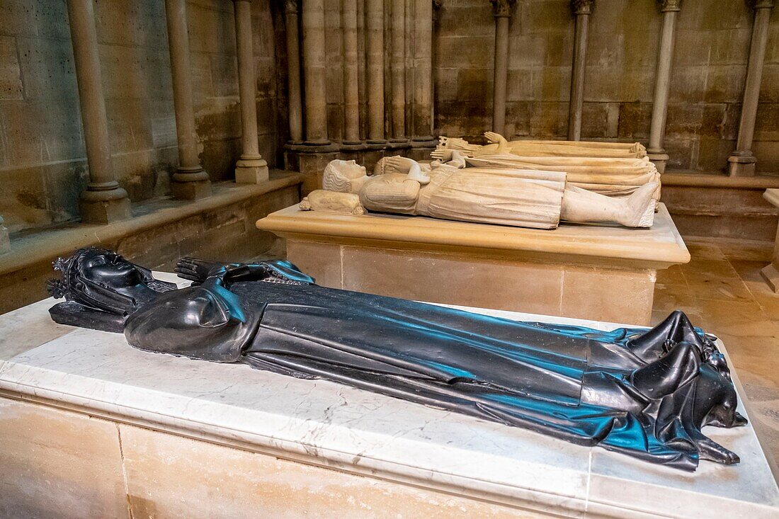 France,Seine Saint Denis,Saint Denis,the cathedral basilica