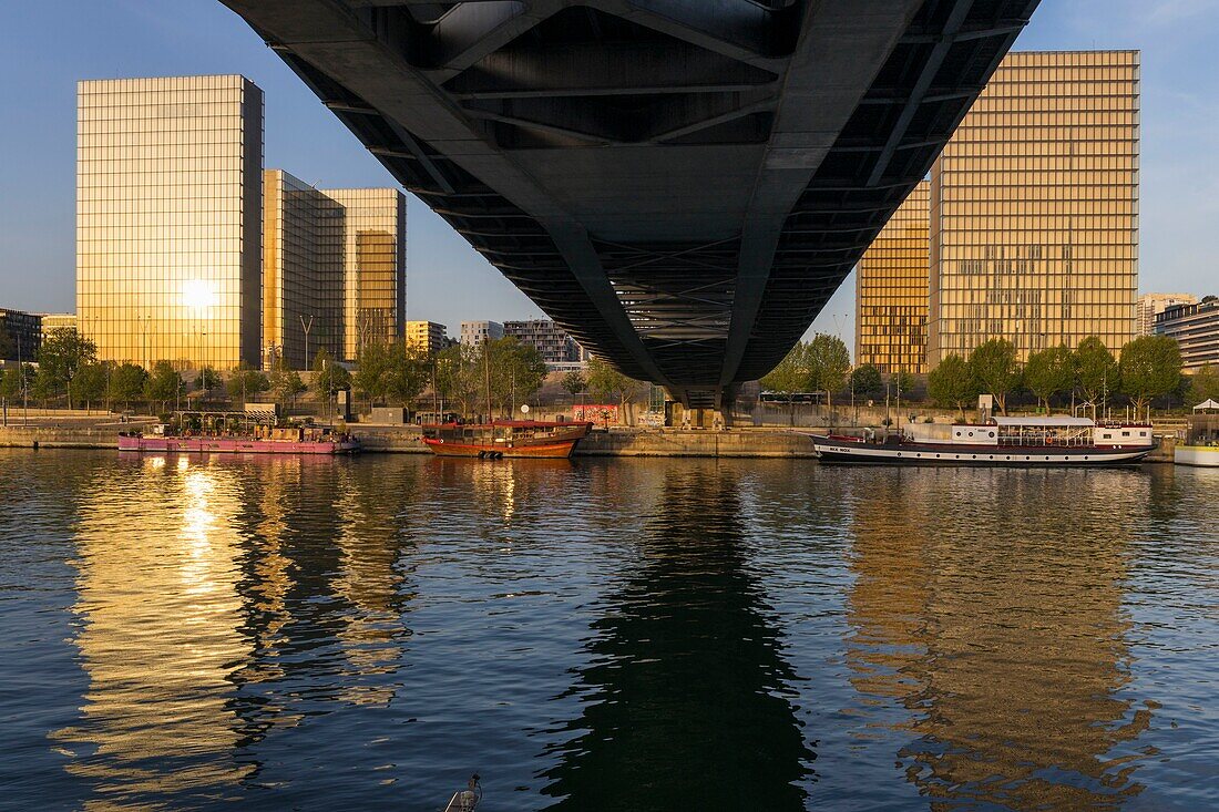 Frankreich,Paris,das Ufer der Seine Bibliotheque Nationale de France (Nationalbibliothek von Frankreich) von Architekt Dominique Perrault von unten gesehen die Simone de Beauvoir Fußgängerbrücke von Architekt Dietmar Feichtinger