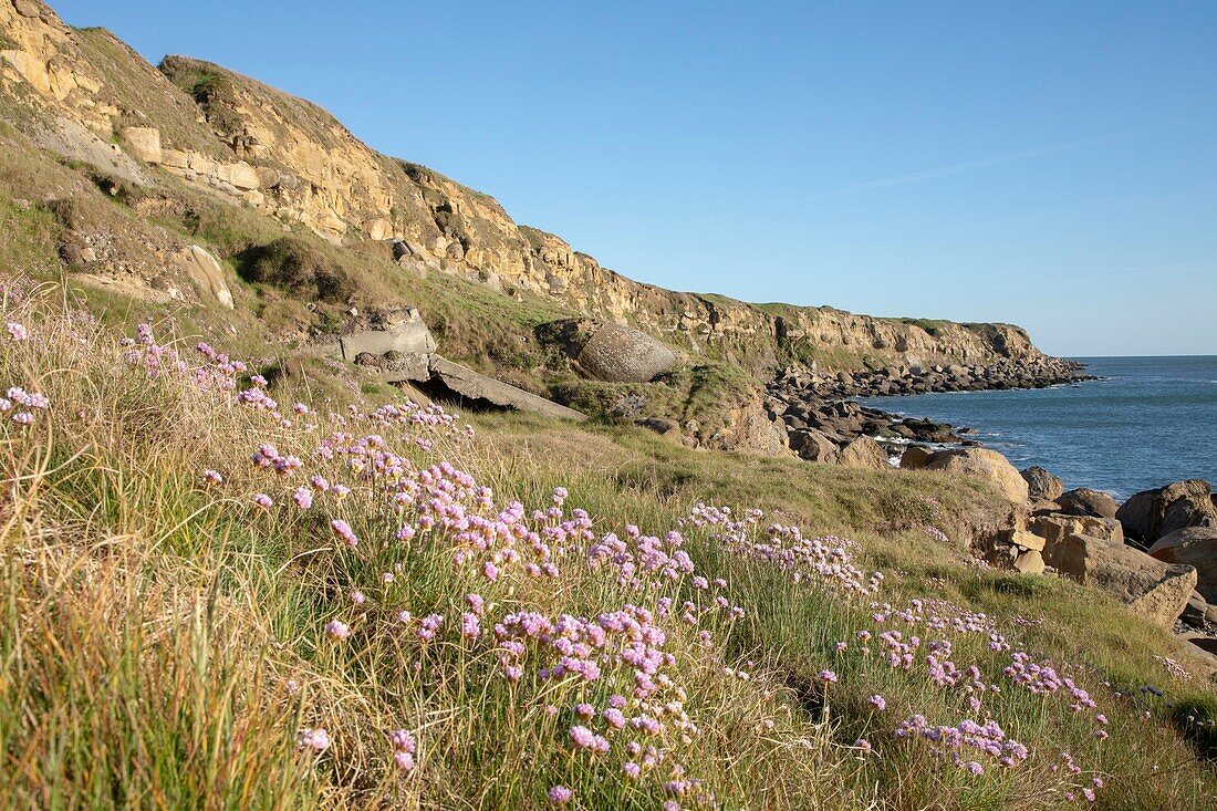 France,Pas de Calais,Cote d'Opale,Parc naturel regional des Caps et Marais d'Opale,cap gris nez,Audinghen,cliffs between the lighthouse and the eggshed