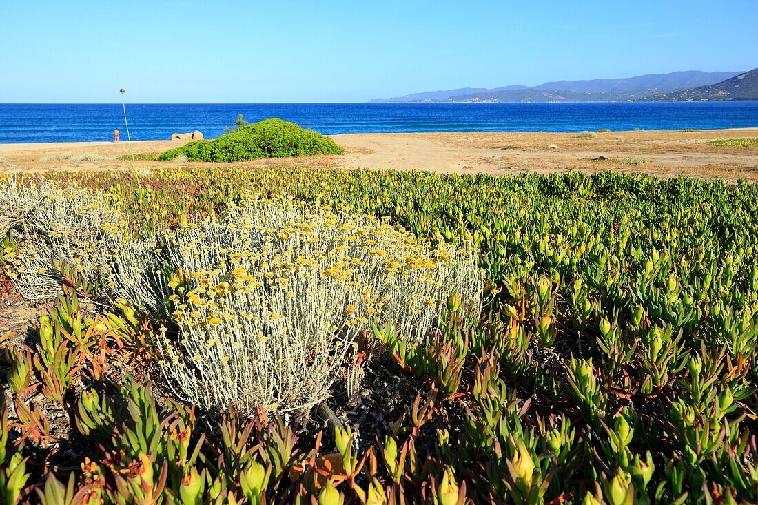 Frankreich,Corse du Sud,Propriano,Capu Laurosu Strand