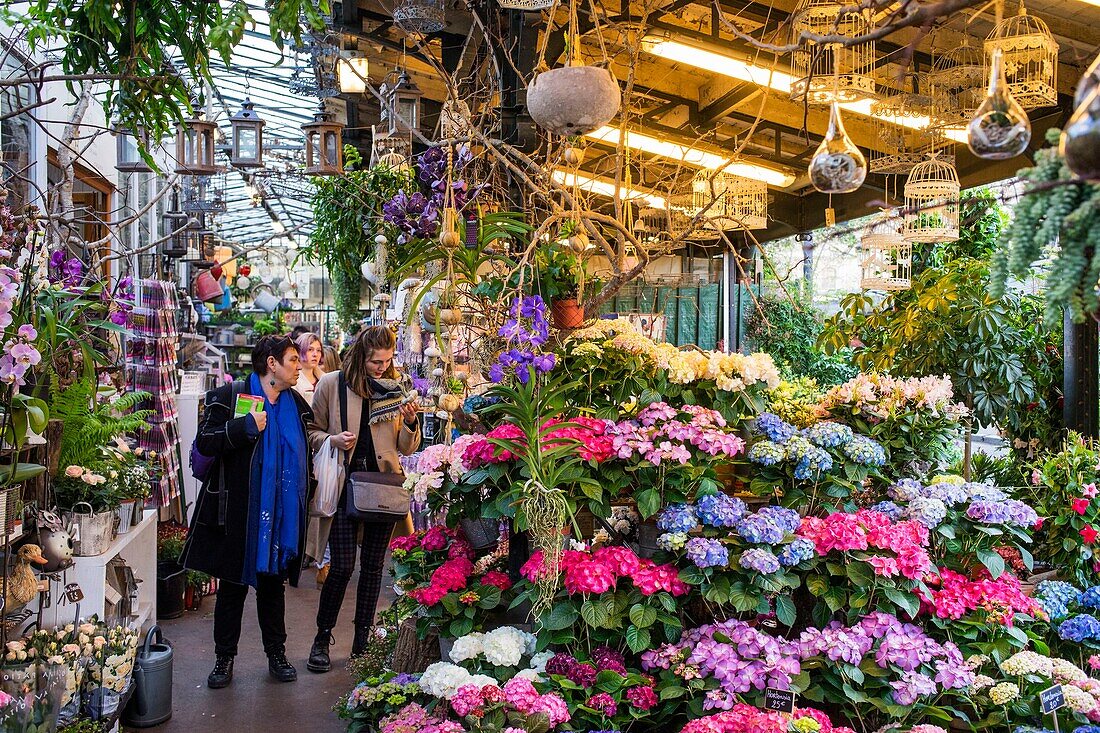 France,Paris,area listed as World Heritage by UNESCO,Ile de la Cite,the flower market