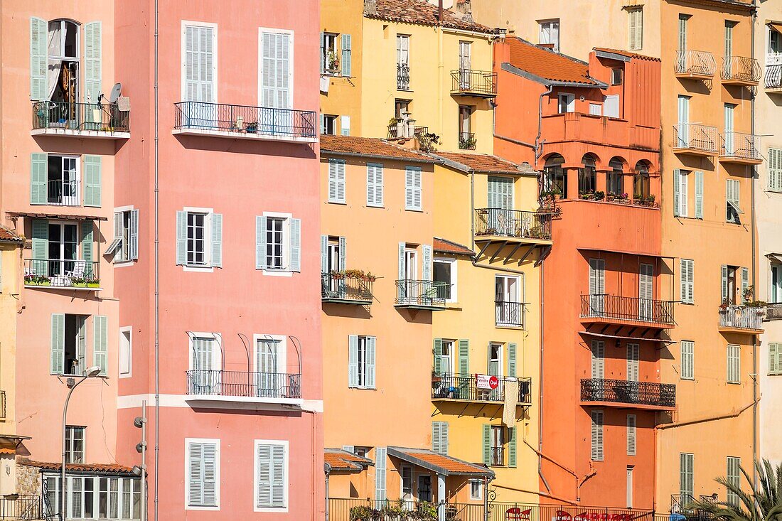 France,Alpes-Maritimes,Menton,the old town