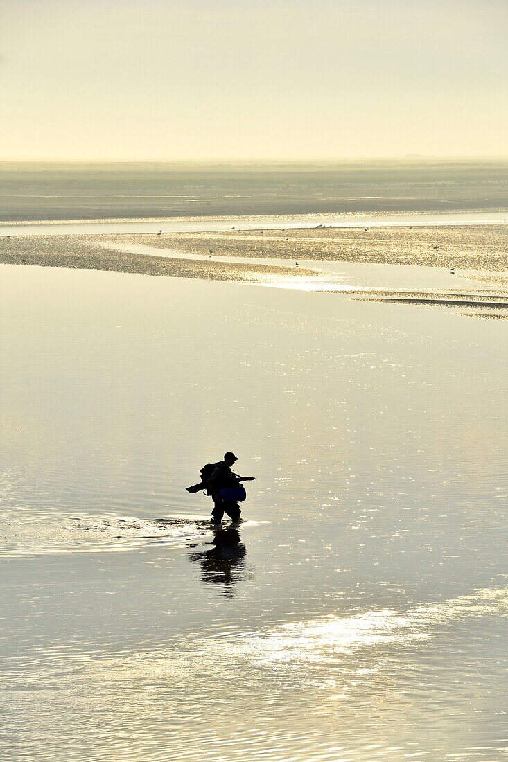 Frankreich,Somme,Baie de Somme,Saint Valery sur Somme,Mündung der Somme-Bucht bei Ebbe