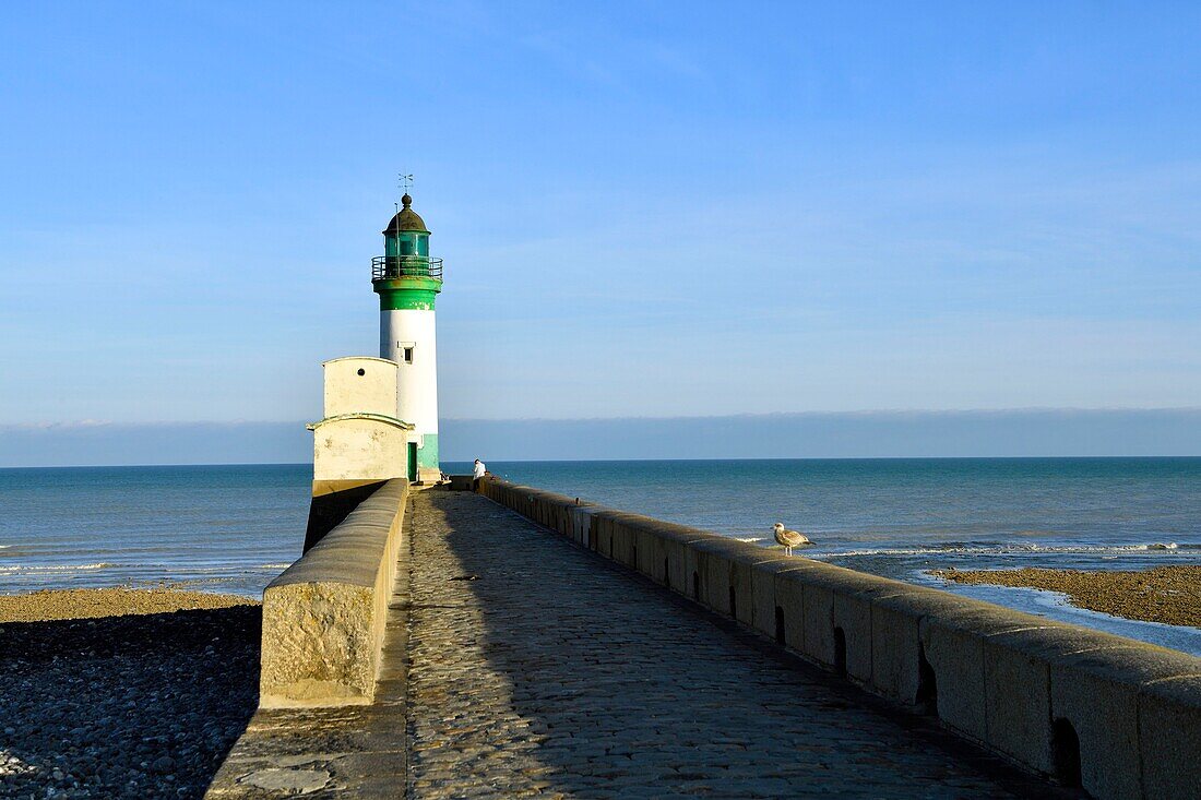 Frankreich,Seine Maritime,Le Treport,Hafen und Leuchtturm am Ende des Anlegers